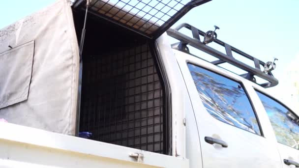 Mottle colored working dog jumps up onto tray of truck, slow motion — Stock Video