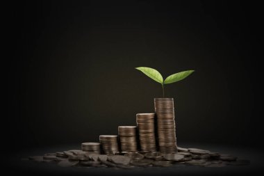 paralar birbirlerine farklı pozisyonlar, para hisse senedi adım büyüyen kadar yığılmış