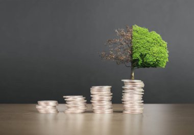 Bozuk paralar farklı pozisyonlarda üst üste istiflenir.