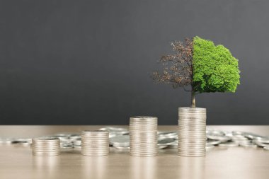 Bozuk paralar farklı pozisyonlarda üst üste istiflenir.