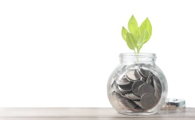 Filiz cam kumbara para tasarrufu kavramı büyüyen ve sikke