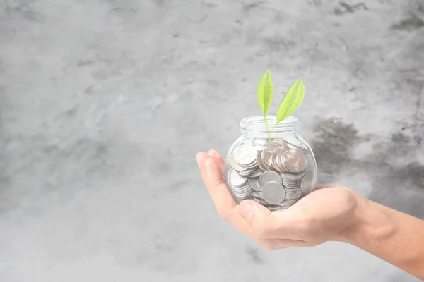 Human hands holding plant growing from coins in the glass