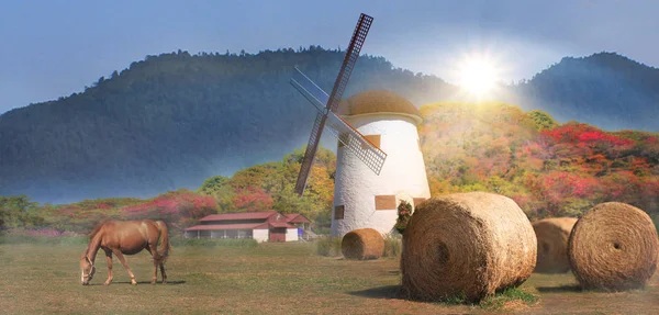 Sunset windmill  sky Windmill farm river sunset view