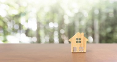 Müstakil ev modeli, iş evi fikri