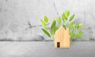 Müstakil ev modeli, iş evi fikri
