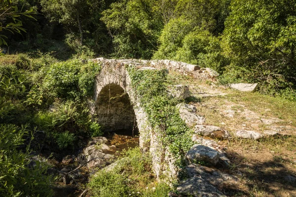 Alte Genuesische Steinbogenbrücke Über Einen Kleinen Bach Inmitten Der Grünen — Stockfoto