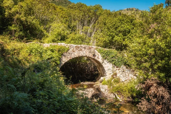 Antiguo Puente Arco Piedra Genovesa Que Cruza Pequeño Arroyo Entre — Foto de Stock