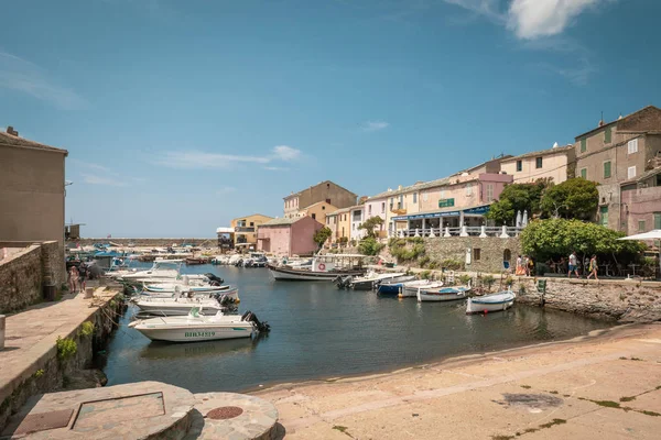 Centuri Corsica Luglio 2018 Barche Pesca Ormeggiate Nel Piccolo Porto — Foto Stock