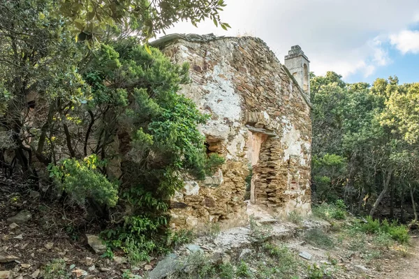 Une Petite Chapelle Pierre Abandonnée Abandonnée Dans Les Bois Près — Photo