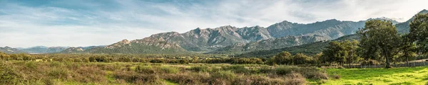 Panoramablick Auf Das Regino Tal Der Balagne Region Korsikas Mit — Stockfoto