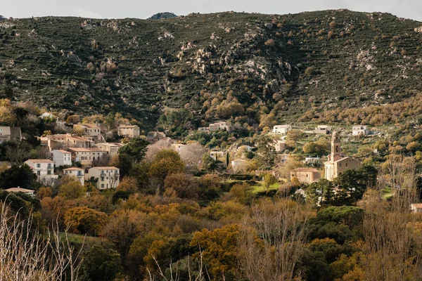 Gamla Berget Byn Feliceto Balagne Regionen Korsika Omgiven Höstens Träd — Stockfoto