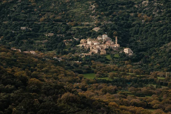 Ancient Mountain Village Avapessa Balagne Region Corsica Surrounded Autumnal Trees — Stock Photo, Image