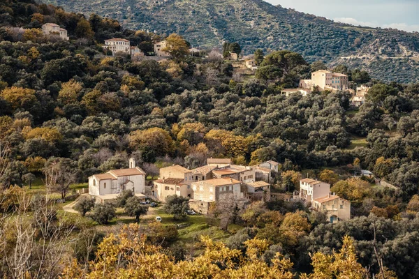 Starodávné Horské Vesnici Poggiali Oblasti Balagne Korsiky Obklopen Zlaté Podzimní — Stock fotografie