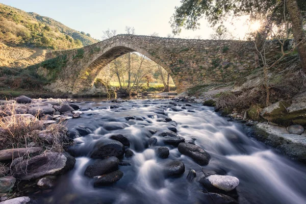 Antiguo puente de piedra sobre el río que fluye en Córcega — Foto de Stock