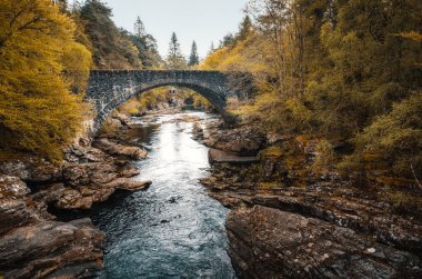 İskoçya'daki Invermoriston'da Moriston Nehri'ni çevreleyen ağaçlar