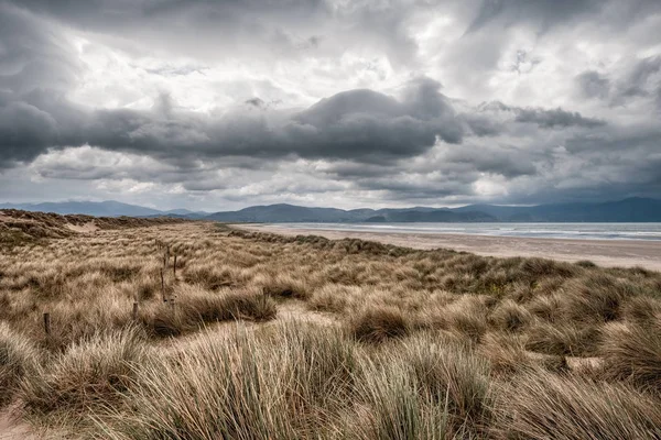 Ciemne chmury nad Inch Beach w hrabstwie Kerry w Irlandii — Zdjęcie stockowe