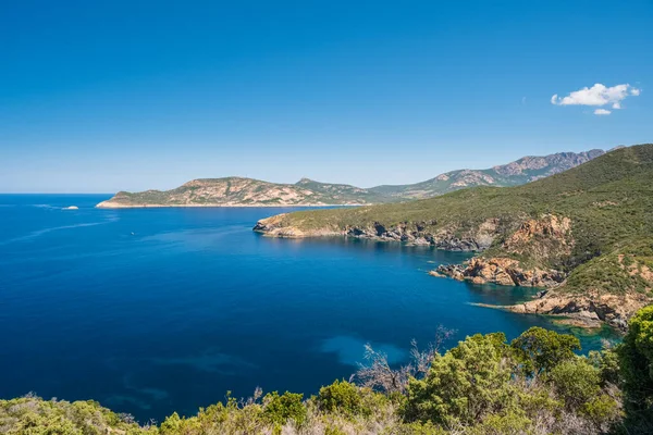 Klippig Kustlinje Som Möter Det Turkosa Medelhavet Korsikas Västkust Söder — Stockfoto