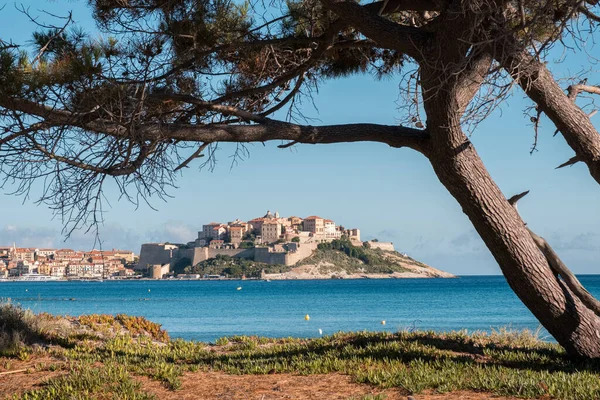 Antica Cittadella Calvi Corsica Circondata Dal Mar Mediterraneo Sotto Cielo — Foto Stock