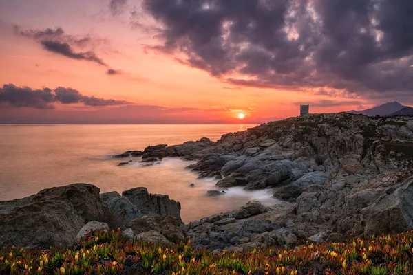 Sunrise Silhouetted Genoese Tower Punta Spano Lumio Rocky Coastline Balagne — Stock Photo, Image