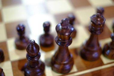 satranç tahtasındaki parçaları