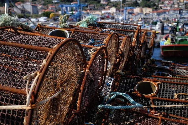 Ketrecek Polip Halászati Porton Keresztül — Stock Fotó