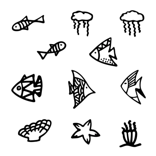 Sada Kreslených Ryb Korálů Hvězdice Sasanky Medúzy Izolované Objekty Bílém — Stockový vektor
