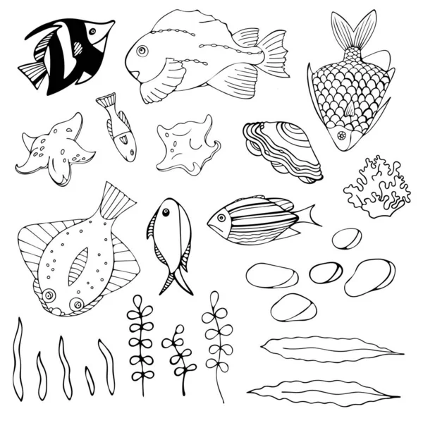 Sada Akvarijních Kreslených Ryb Mořských Řas Mušlí Kamenů Izolované Objekty — Stockový vektor