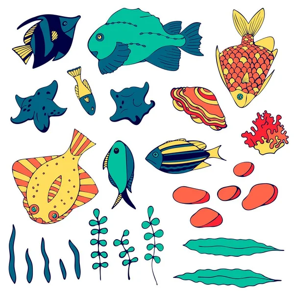 Conjunto Peces Dibujos Animados Acuario Algas Marinas Concha Marina Piedras — Vector de stock