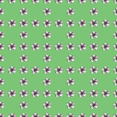 Elle çizilmiş çiçekli kusursuz desen. İnce yapraklı kadife çiçekli arka plan.