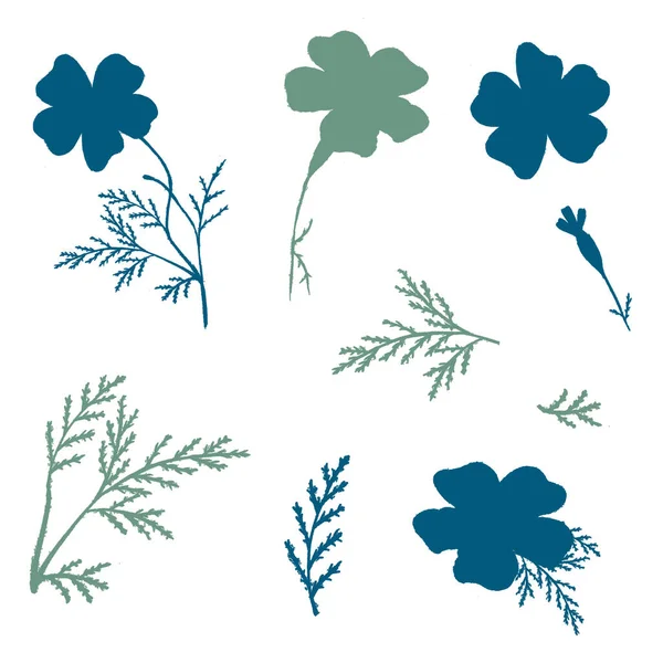 Set van groene en blauwe met de hand getrokken bloemen. Dunne goudsbloemen silhouetten. — Stockfoto