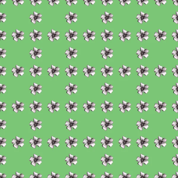 Elle çizilmiş çiçekli kusursuz desen. İnce yapraklı kadife çiçekli arka plan.