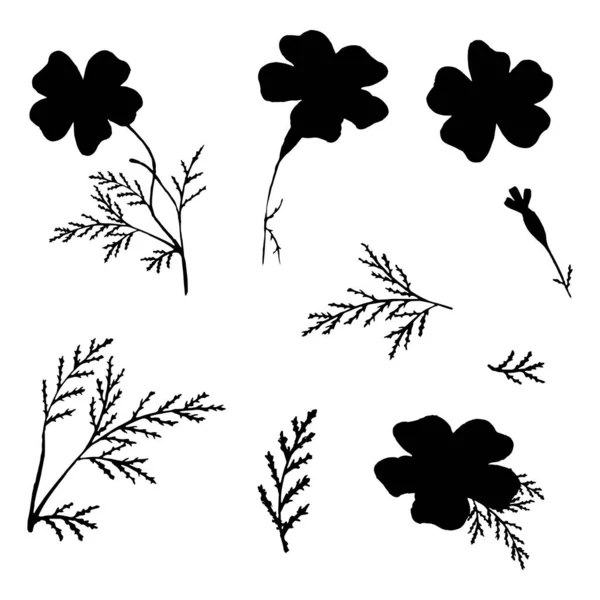 Zwart met de hand getekende bloemen. Dunne goudsbloemen silhouetten. — Stockvector