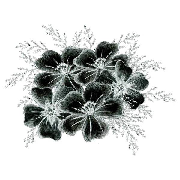 Black White Hand Drawn Izolated Flower Composition Monocrom Botanical Plant — Fotografie, imagine de stoc