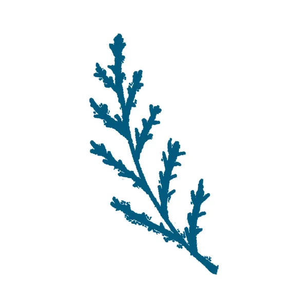 Blå Handritad Isolerad Blomma Twig Monokrom Botanisk Växt Illustration Skiss — Stockfoto