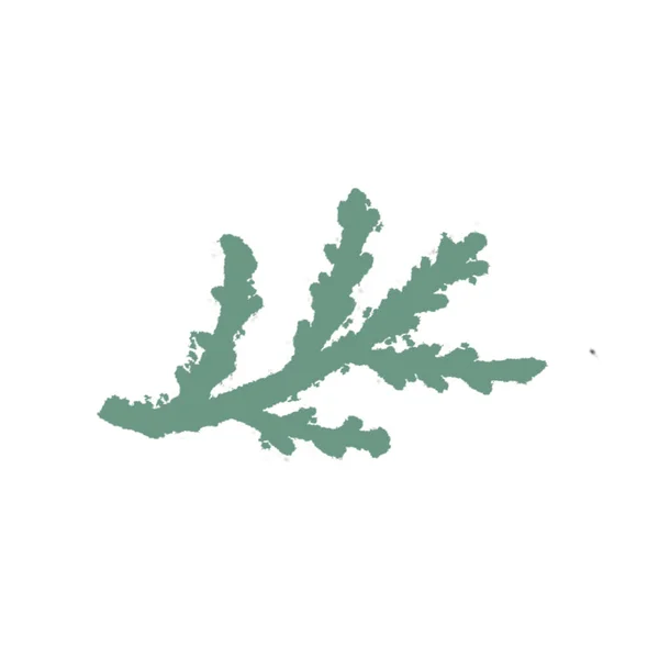 Groene Met Hand Getrokken Geïsoleerde Bloem Twig Monochrome Botanische Plant — Stockfoto