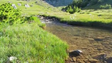 Nehir ve dağlarla dolu güzel bir manzara