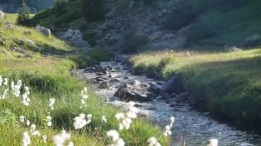 Dağlarda nehri olan güzel bir manzara.