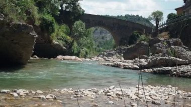 Ormanın ortasında bir nehir