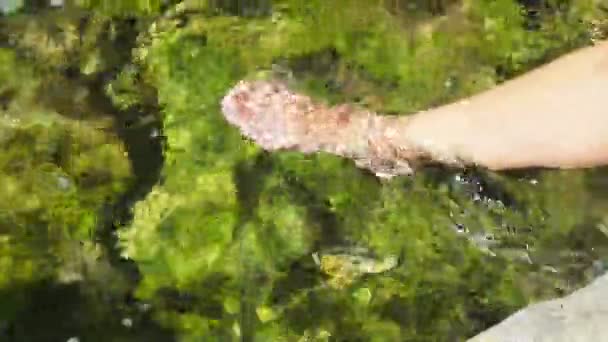 Godendo Una Nuotata Rinfrescante Fiume Montagna Trattamento Medico Con Acqua — Video Stock