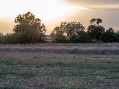 Sahada gün batımı kuru bir çimen ve ön planda bulutlu bir gökyüzü.