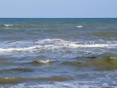 Sahilde deniz köpüğü.