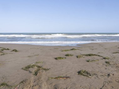 Yazın deniz kıyısında