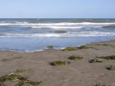 plaj ve tropikal deniz