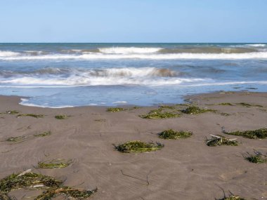 Kumsaldaki deniz dalgaları, deniz dalgaları.