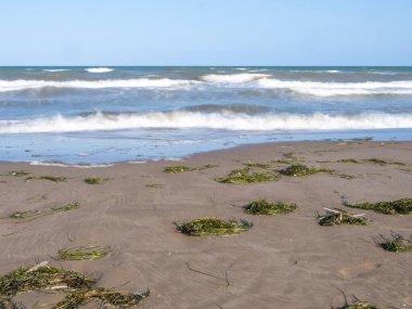 Yazın deniz kıyısında