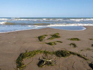 Sahilde dalgalı bir deniz kıyısı