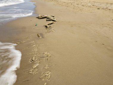 Bir yaz günü kumsalın ayak izleri. Tatil ve tatil konsepti..
