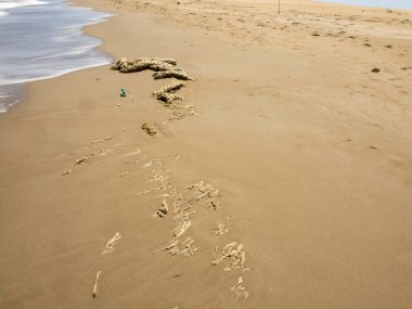 Sahilde bir ayak izi.