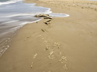 Sahilde ayak izleri.
