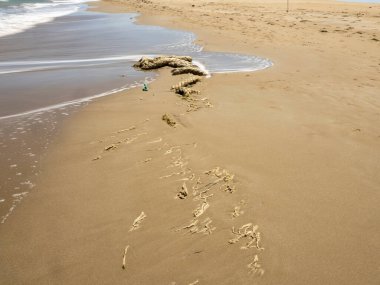 Baltık Denizi 'nin kumlu plajı
